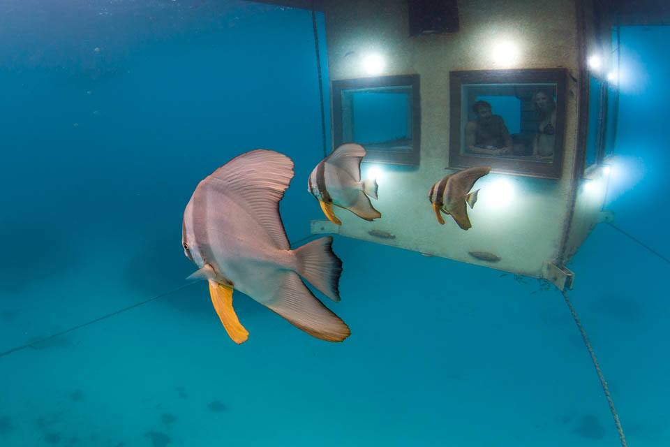 underwater-room-manta-resort-2