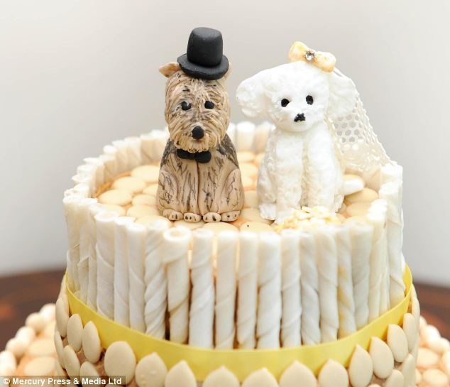 dog-wedding-4