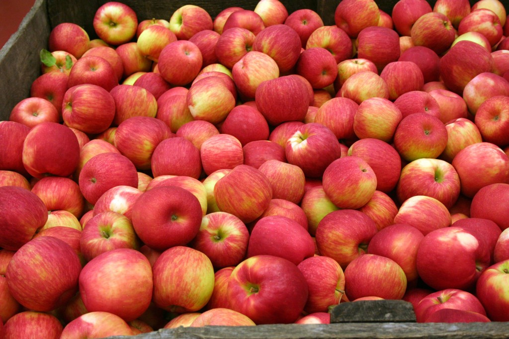 honeycrisp-apples