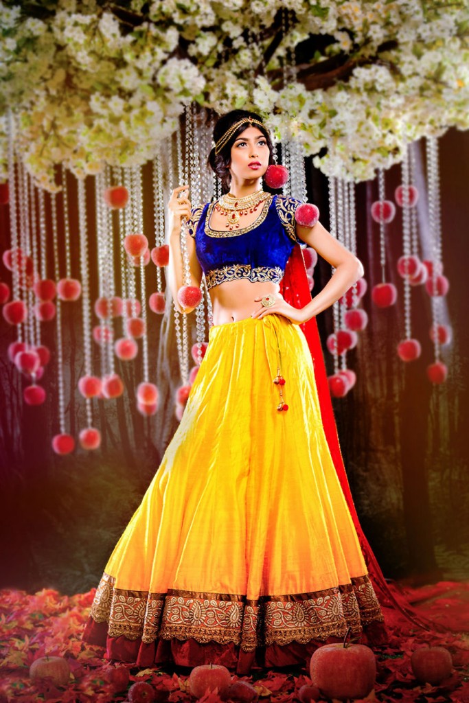 Disney-Princesses-wearing-Indian-outfits20__880