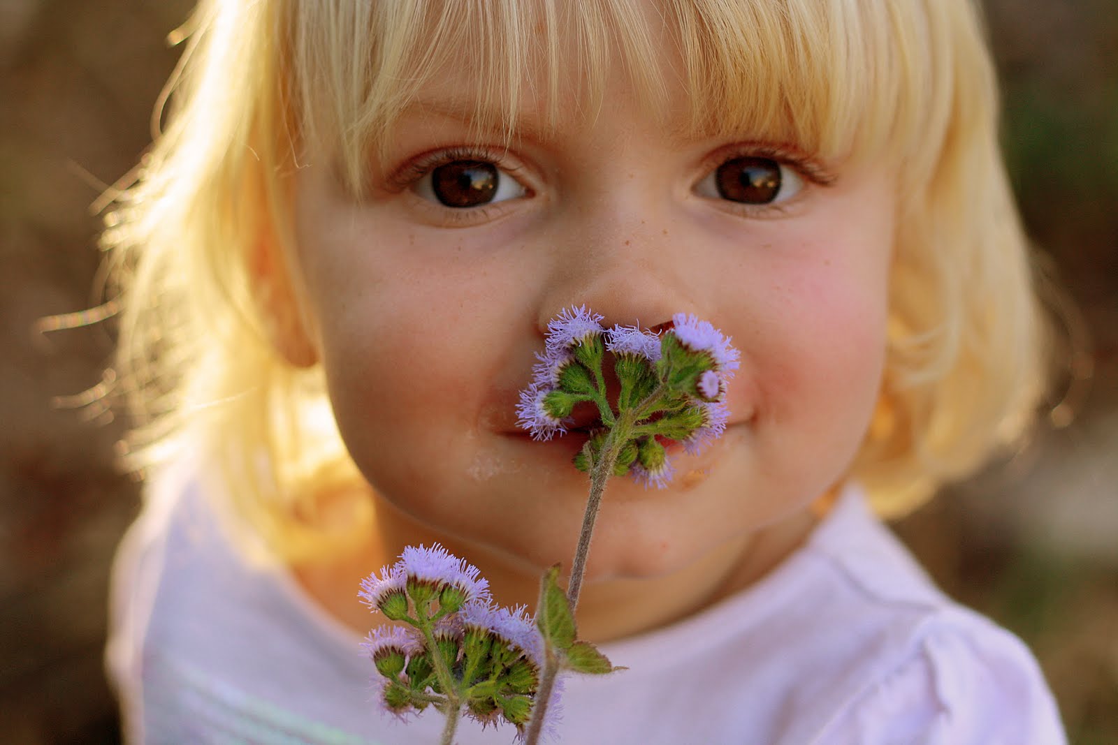 Обоняние детей. Растения для детей. Нюхает цветы. Ребенок нюхает цветок. Девочка нюхает цветок.